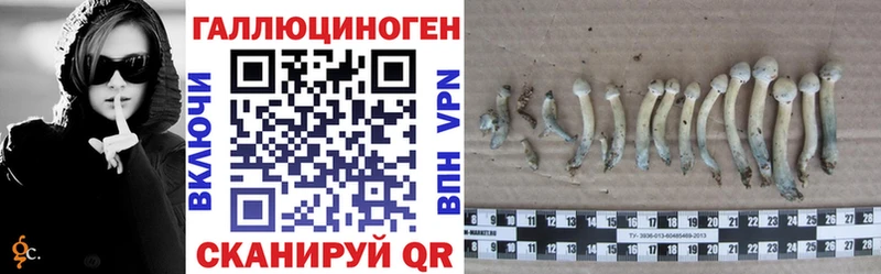 Купить где  Югорск  Галлюциногенные грибы мухоморы 